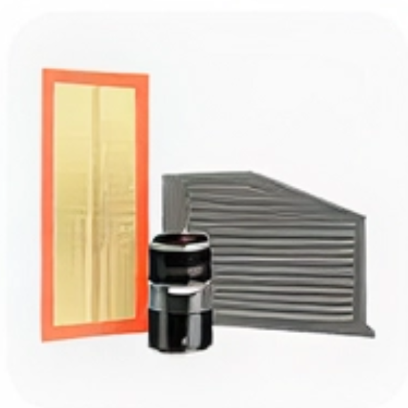 Filteri (Za vazduh/ulje/gorivo/kabinu)