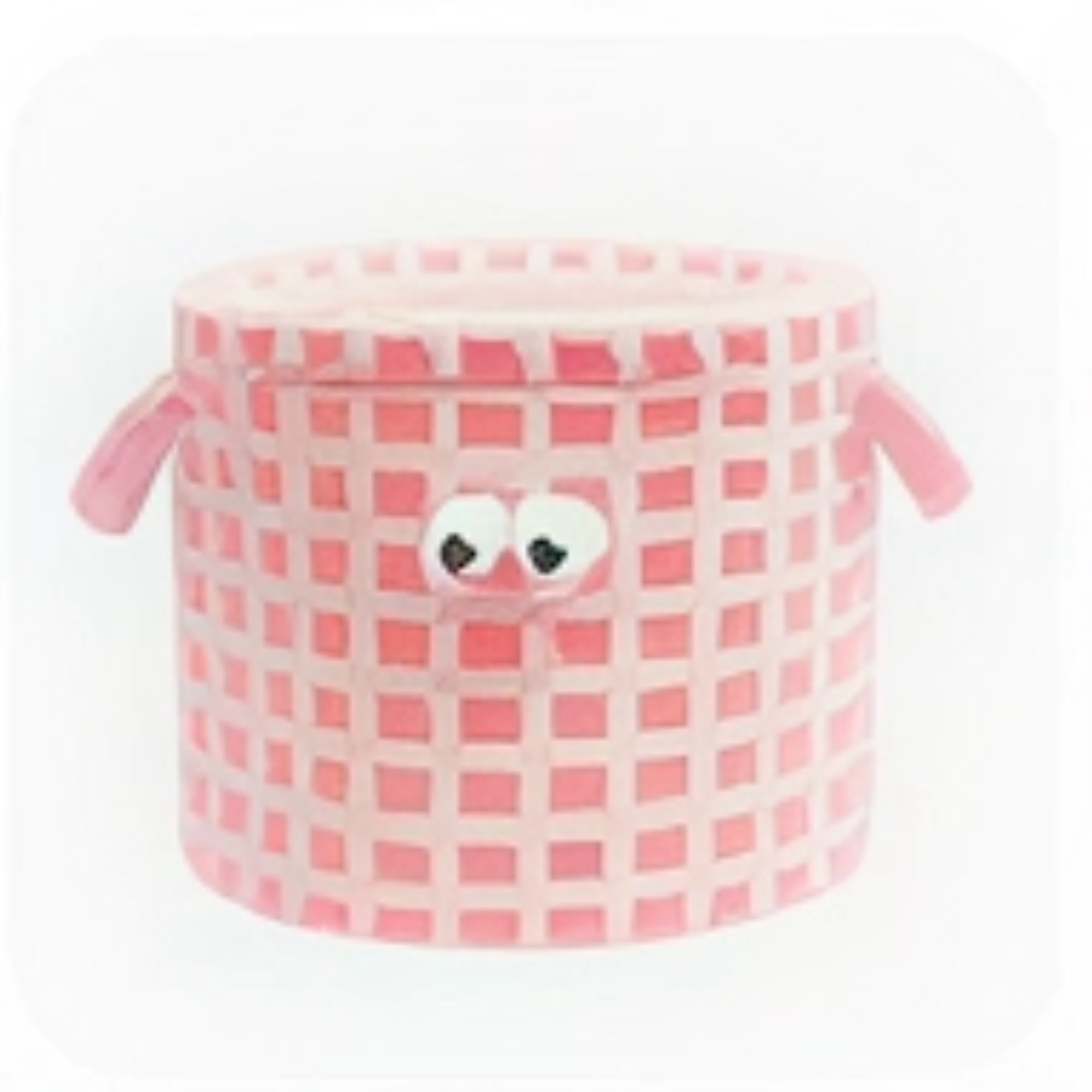 Kanta / Organizer za skladištenje na mestu suvozača