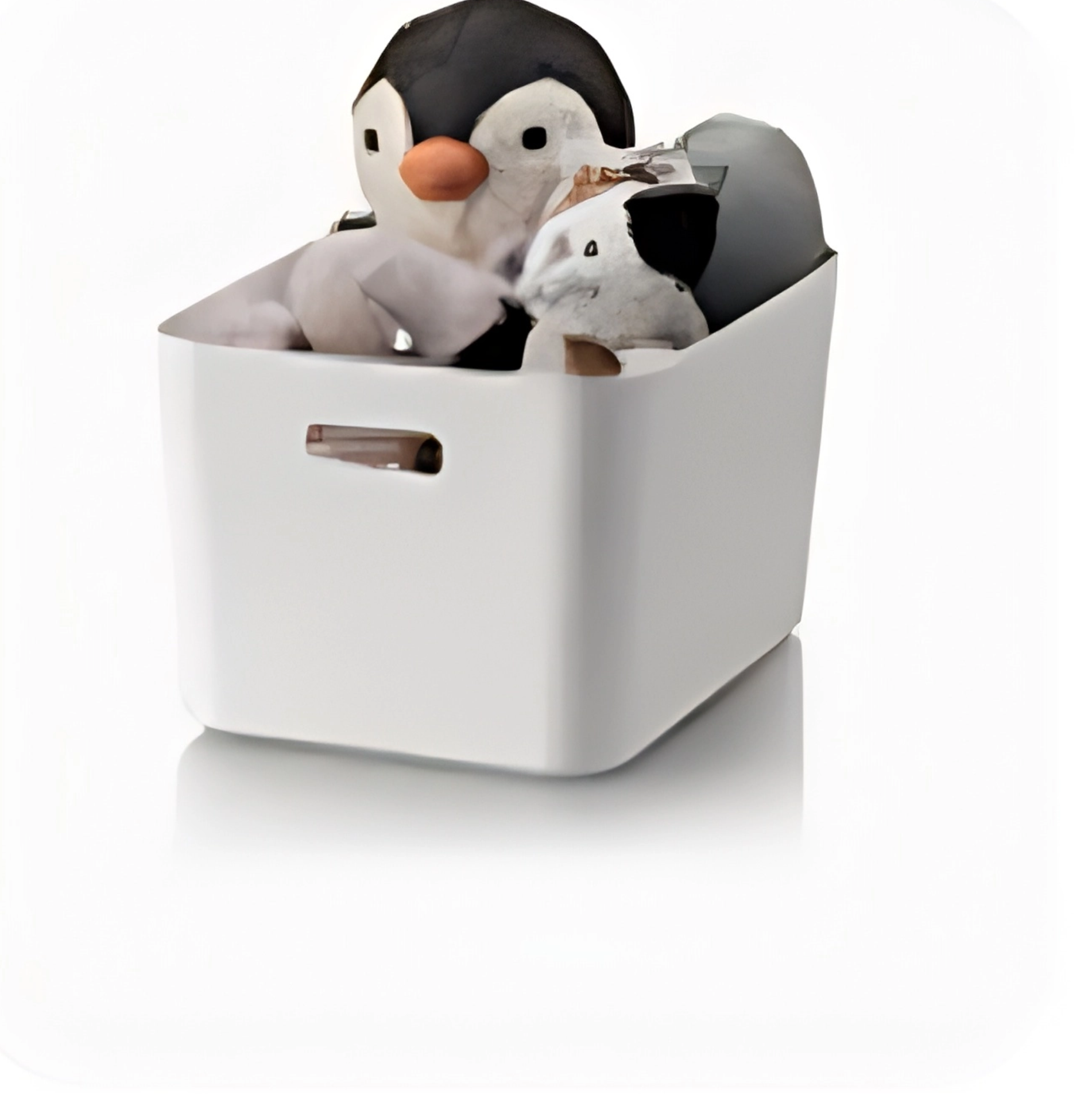 Kutija za skladištenje