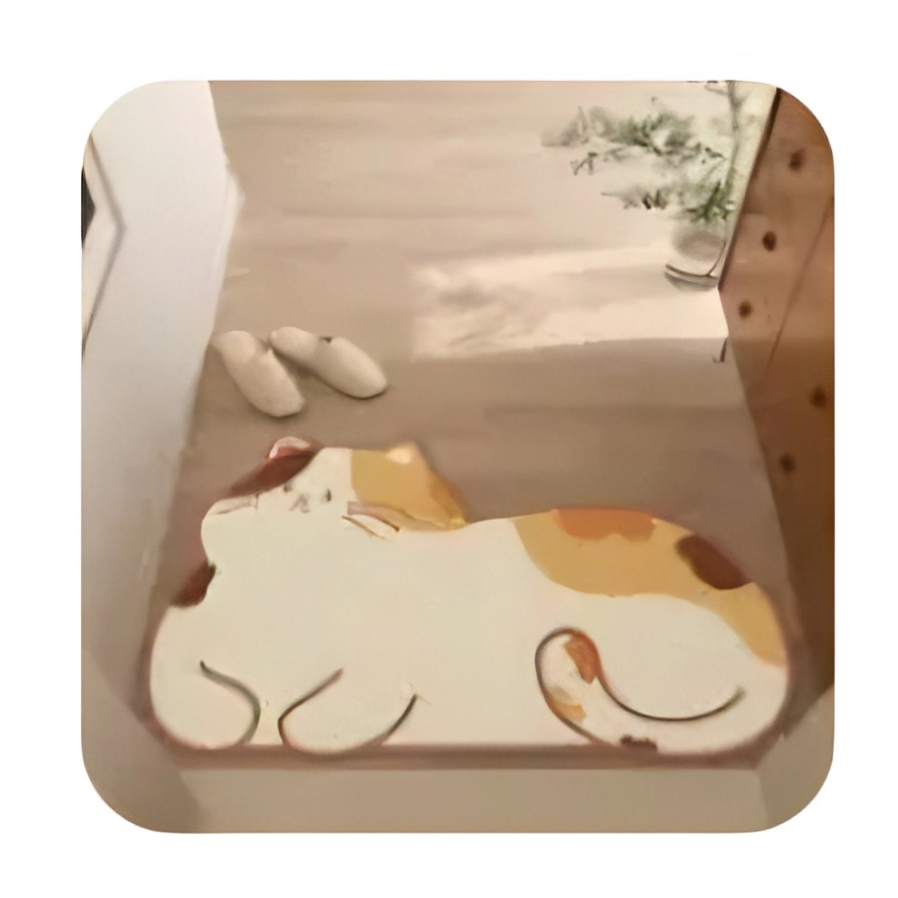 Prostirka za ulazna vrata