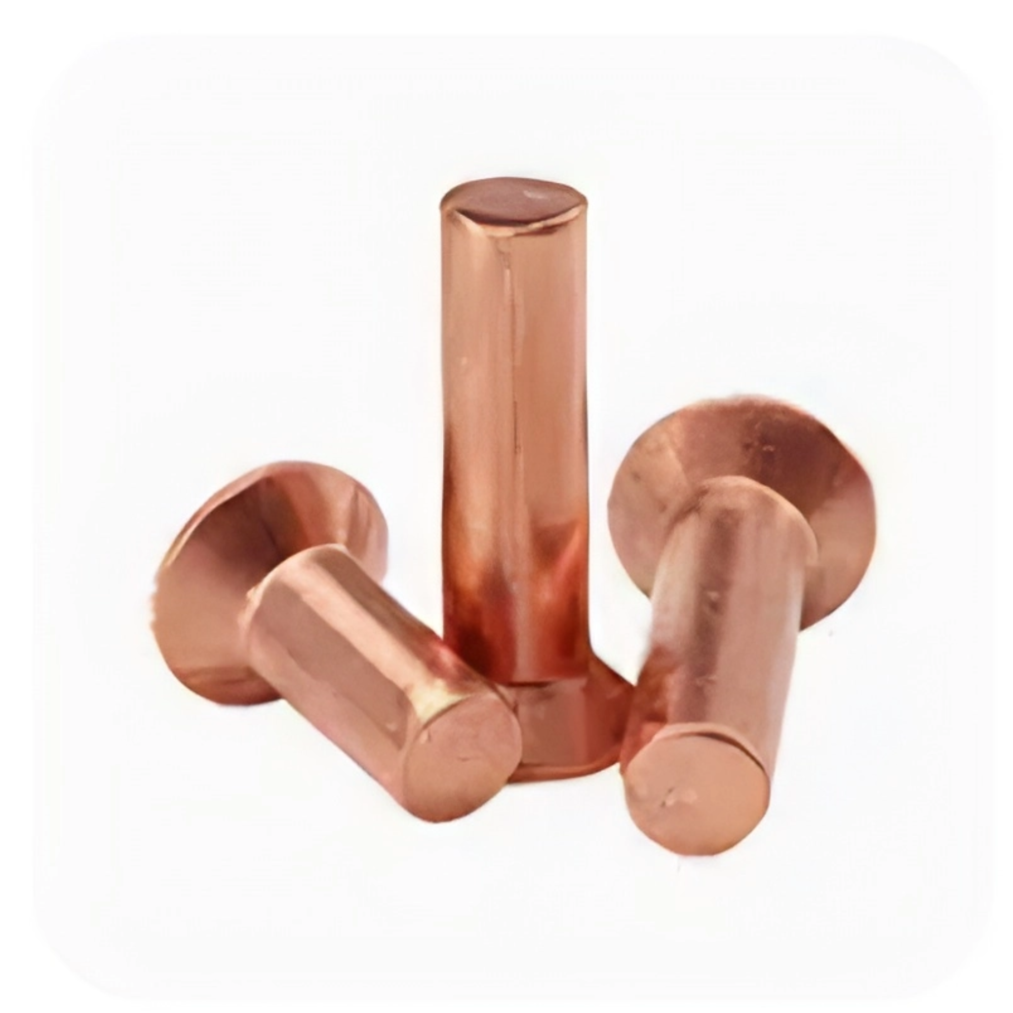 Kućni spojni elementi (zavrtnji, vijci)