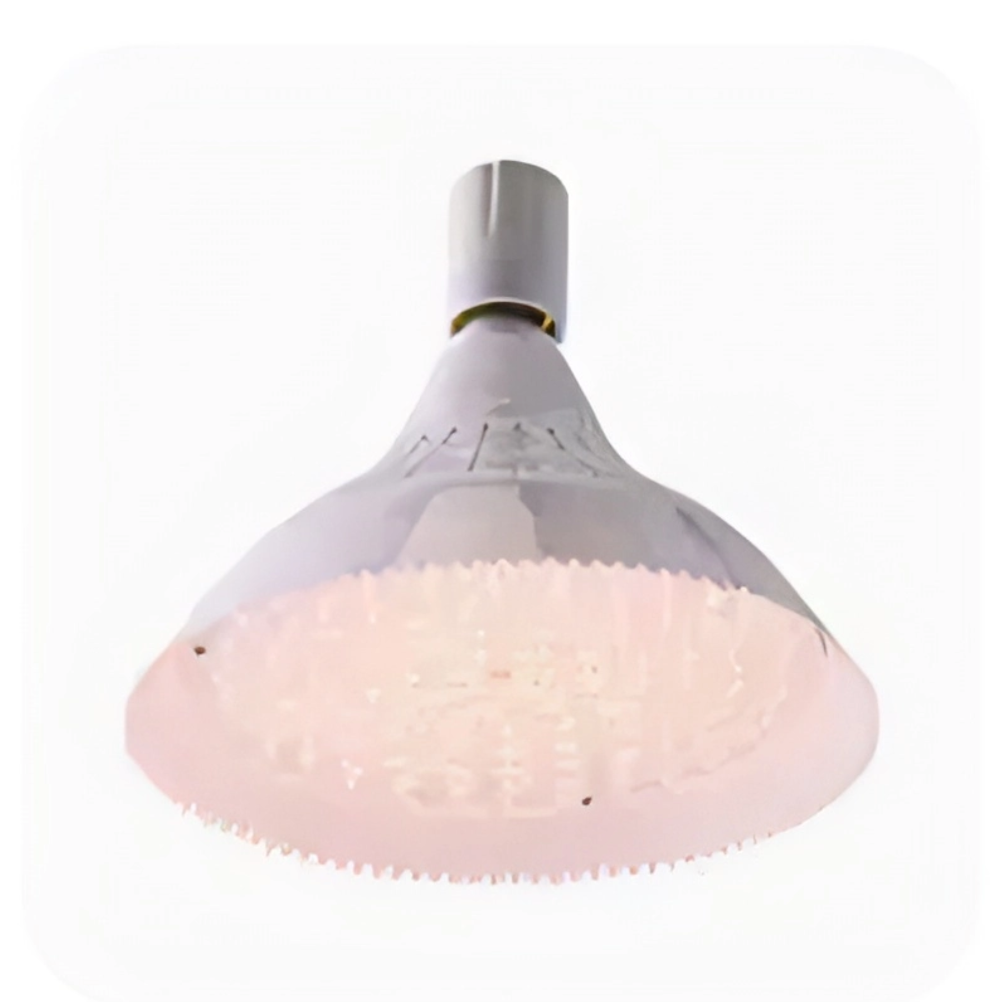 Svetla za svežu hranu (za izloge)